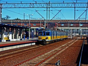 Władze Pomorskiego chcą kupić ok. 30 nowych pociągów dla trójmiejskiej SKM